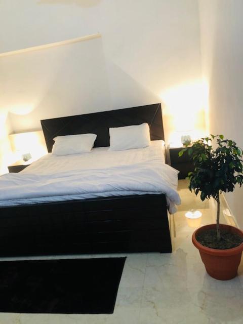 Apartment Tattva 2 *